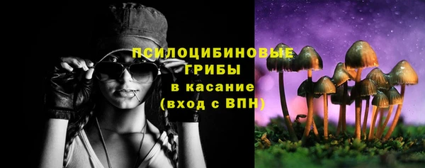 герыч Снежинск