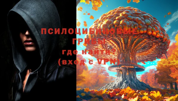 кокаин колумбия Белокуриха